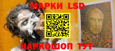 амф Бердск